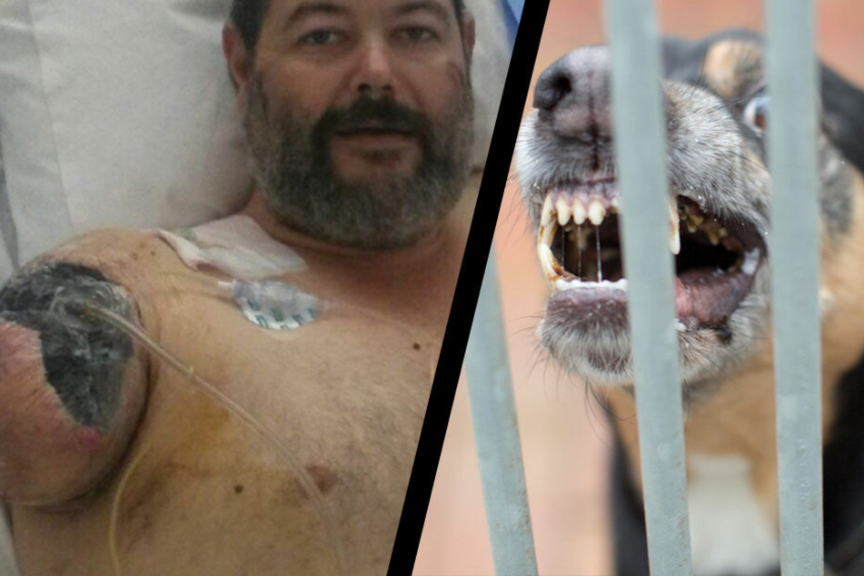 Brendan Clark liegt nach dem Hundeangriff derzeit im John Hunter Hospital.
