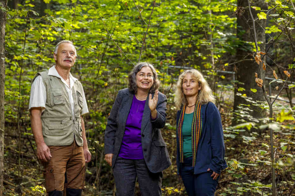 Hier soll ein Urwald wachsen: Umweltbürgermeisterin Eva Jähnigen (52, Grüne), Stadtwaldförster Förster Thomas Hensel (60) und Umweltamt-Sachbearbeiterin Petra Kirchhoff (54) freut's.