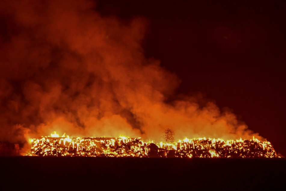 Etwa 1500 Strohballen gingen in Flammen auf.