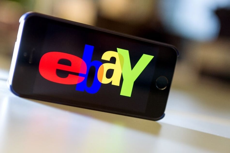 Ein Mitarbeiter der Stadt Ahlen verkaufte den kleinen Hund bei der Auktionsbörse Ebay. (Symbolbild)