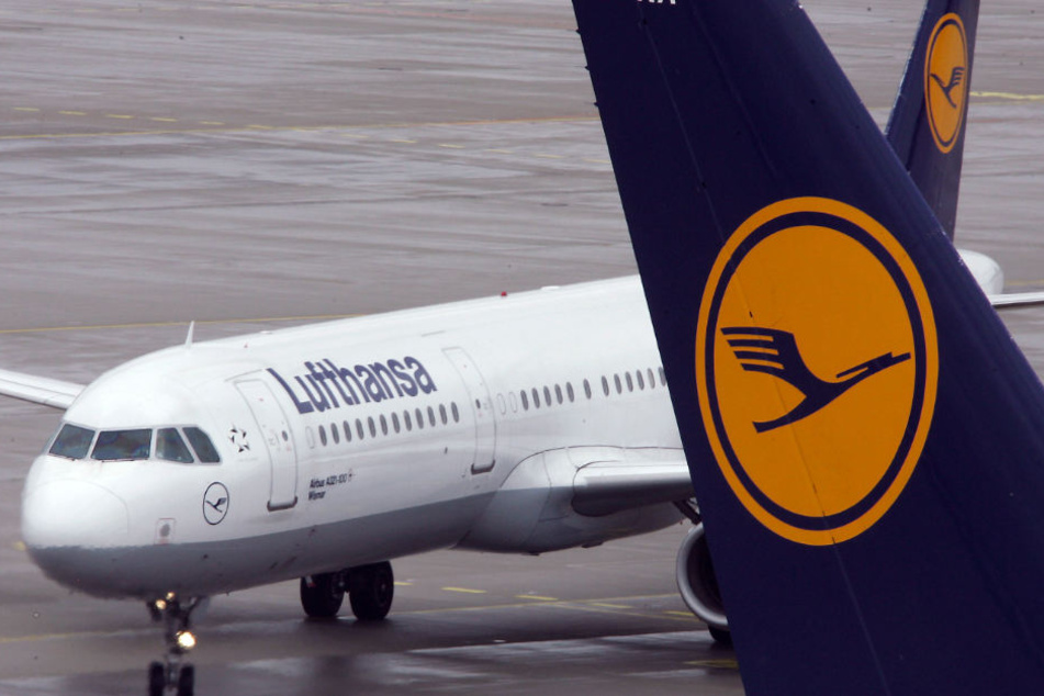 Im Cockpit der Lufthansa-Maschine nahm der Pilot einen elektrischen Geruch wahr. (Symbolbild)