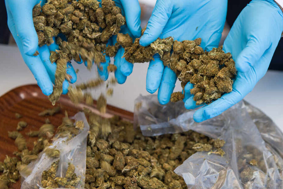 Die Beamten konnten 19 Kilogramm Marihuana sicherstellen. (Symbolbild)