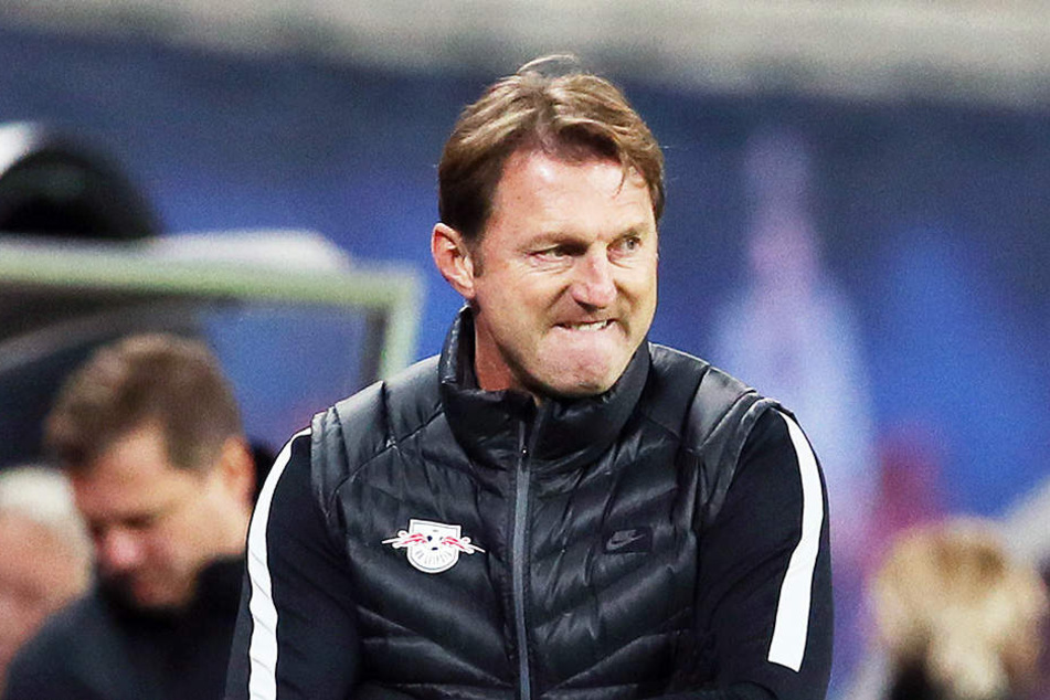 Ralph Hasenhüttl wird seine Jungs ordentlich hart rannehmen in Lagos.