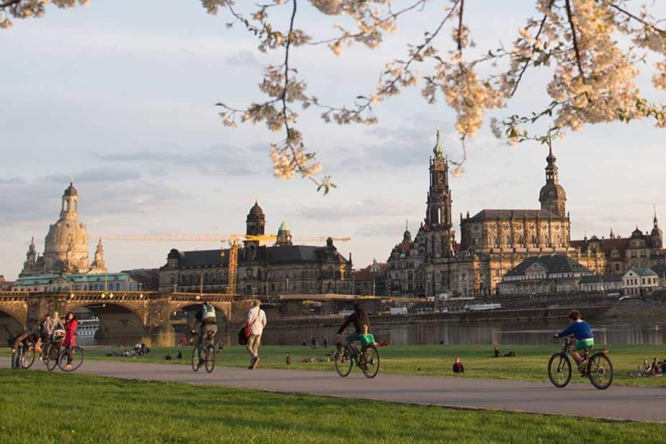 Wie gemalt! Strahlende Altstadtsilhouette und lagernde Sonnenanbeter - der "Canaletto-Blick", wie er sich am Sonntag darbot.