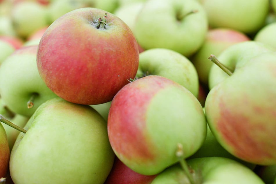 Frisches Obst dient als perfekter Snack für zwischendurch.