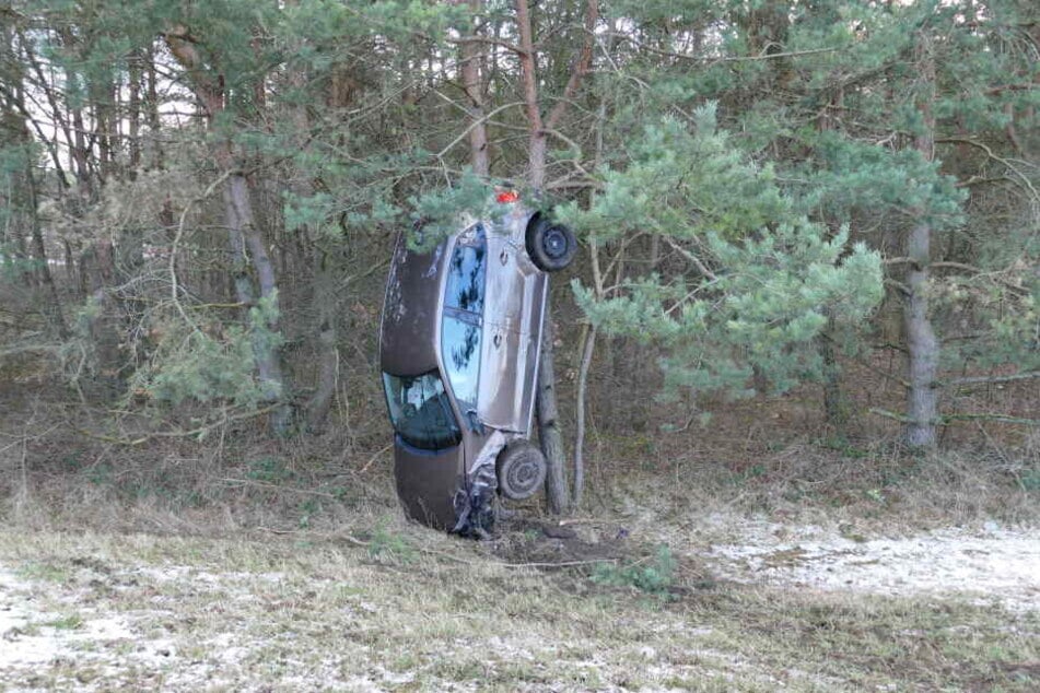 Das Auto stellte sich senkrecht an dem Baum auf.