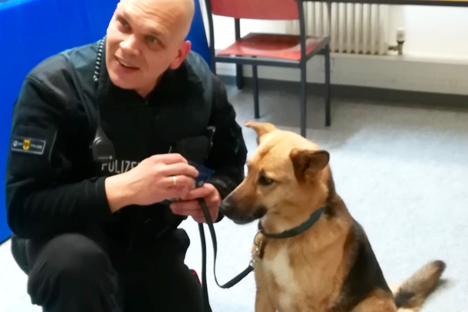 Der Schäferhund-Mix entschloss sich Mittwochabend für einen Kurztrieb mit der S-Bahn. Zum Glück war die Polizei zur Stelle.