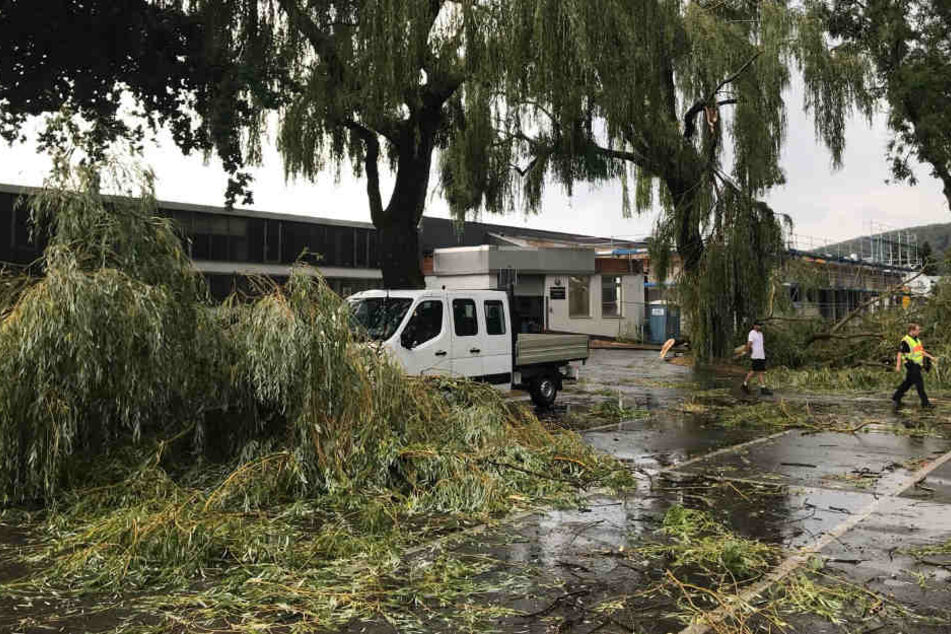 Auch in Holzminden stürzten zahlreiche 'Äste zu Boden.