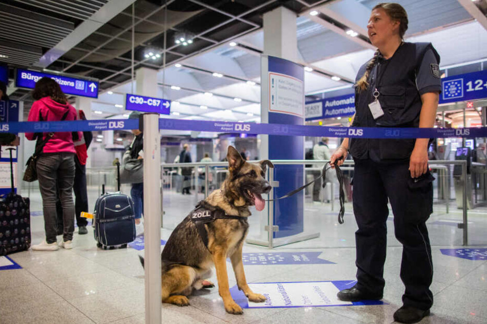 Zollhund Luke wartet am Flughafen mit Hundeführerin Sabine Mohren auf seinen Einsatz.