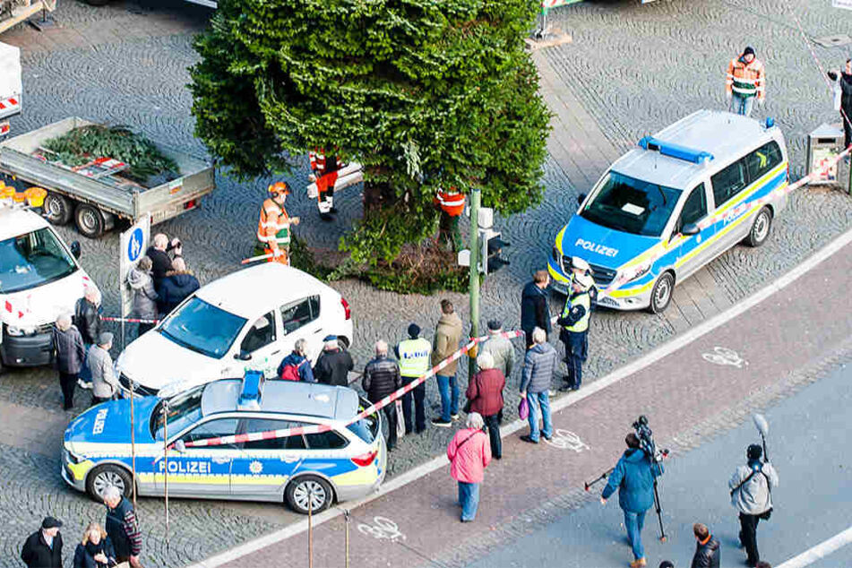 Mit Polizei-Eskorte kam der Baum angefahren.