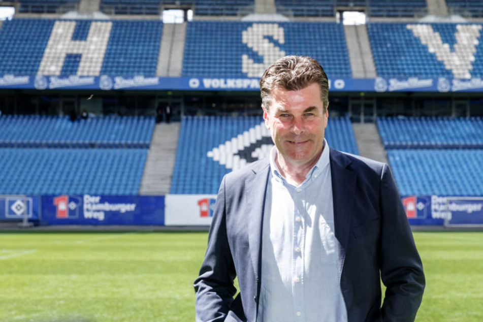 Dieter Hecking führt den Hamburger SV als Trainer in die neue Saison.