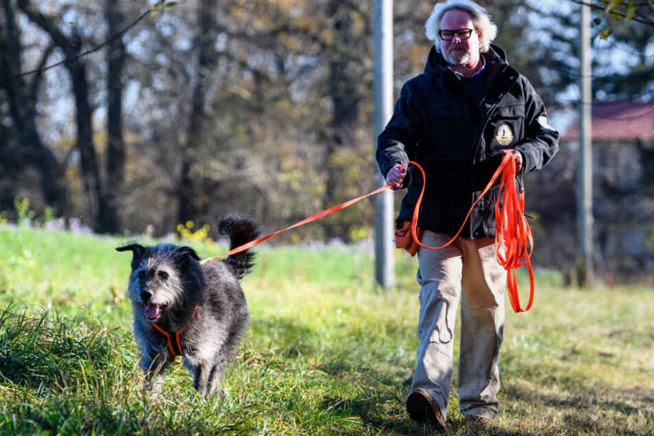 Hund Flintstone und Herrchen Dietmar Kroepel sind ein eingespieltes Team.