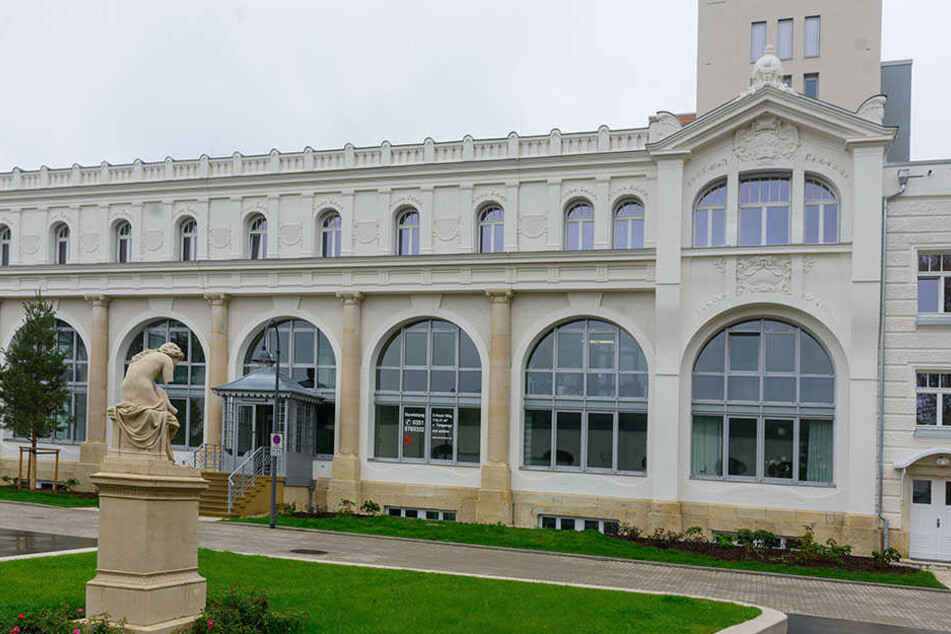 Die Arbeiten am Lahmannsanatorium haben die Fledermaus gestört.