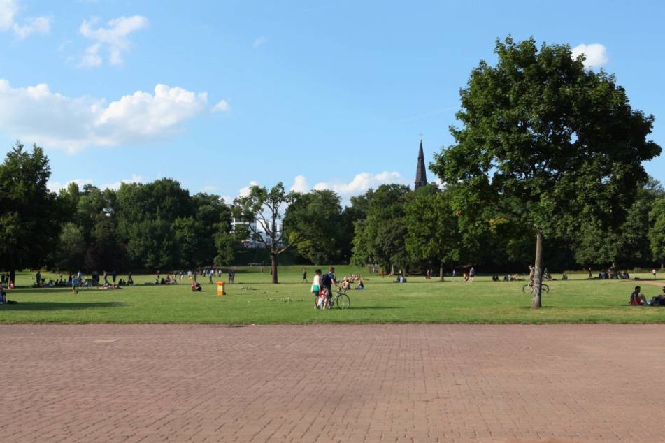 Auf dem Alaunplatz kam es am Samstagabend zu einer Massenschlägerei.