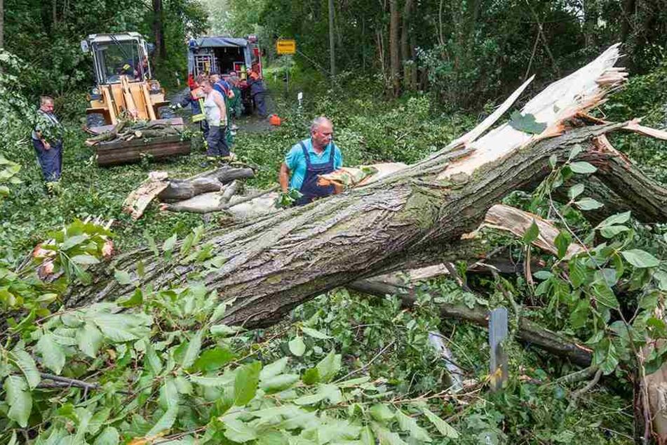 Die Straße zwischen Neukirchen und Langenhessen war unpassierbar. Helfer der Feuerwehr Neukirchen rückten an.