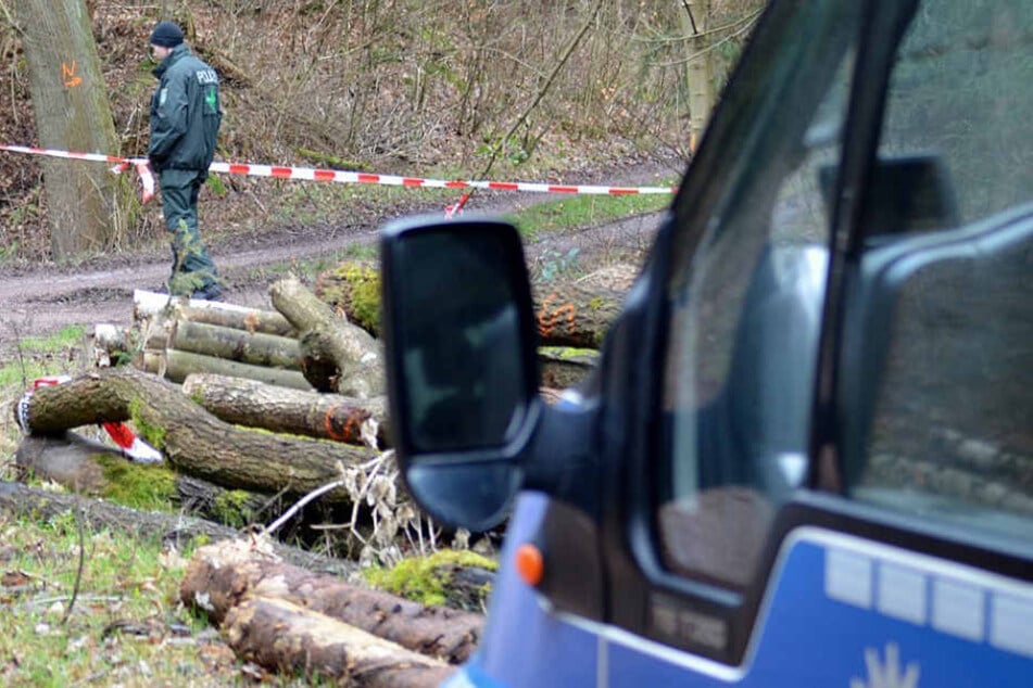 Der Fundort bei Viernheim wurde abgesperrt und nach weiteren Spuren durchsucht (Symbolbild).