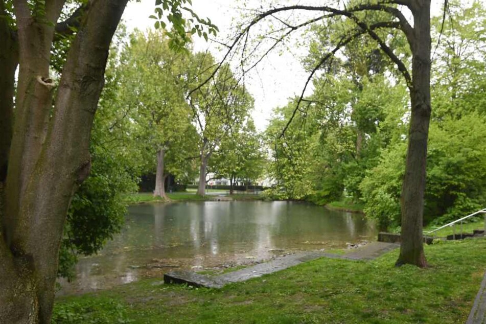 im Riemekepark entdeckten Spaziergänger die Leiche.