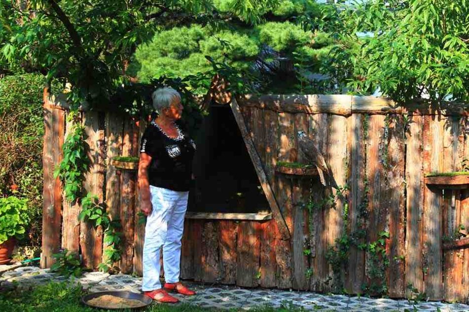 Falknerin Gisela Braun (70) vermisst ihre Cora.