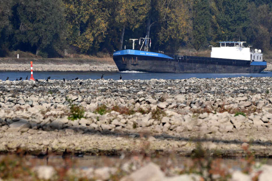 Im Rhein ist das Wasser zu niedrig.