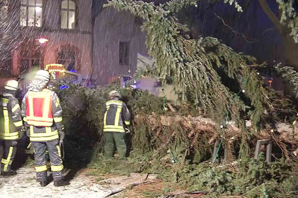 Die Kameraden der Magdeburger Feuerwehr rückten dem Baum mit der Kettensäge zu Leibe.