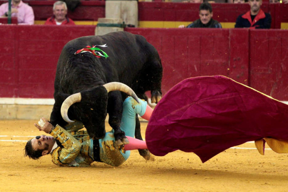 Torero-Legende Juan José Padilla wurde von dem Bullen an der Augenklappe getroffen.
