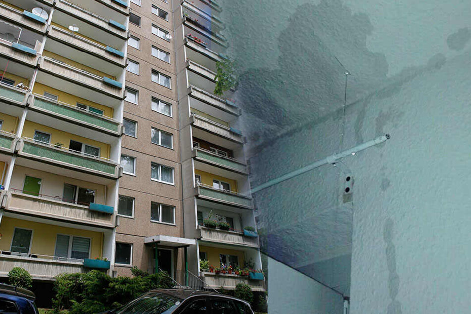 Diese Wasserflecken sorgen im Heckertgebiet für großen Ärger.