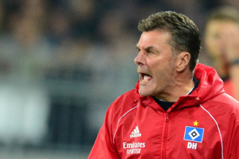 HSV-Trainer Dieter Hecking warnt vor einem Selbstläufer.