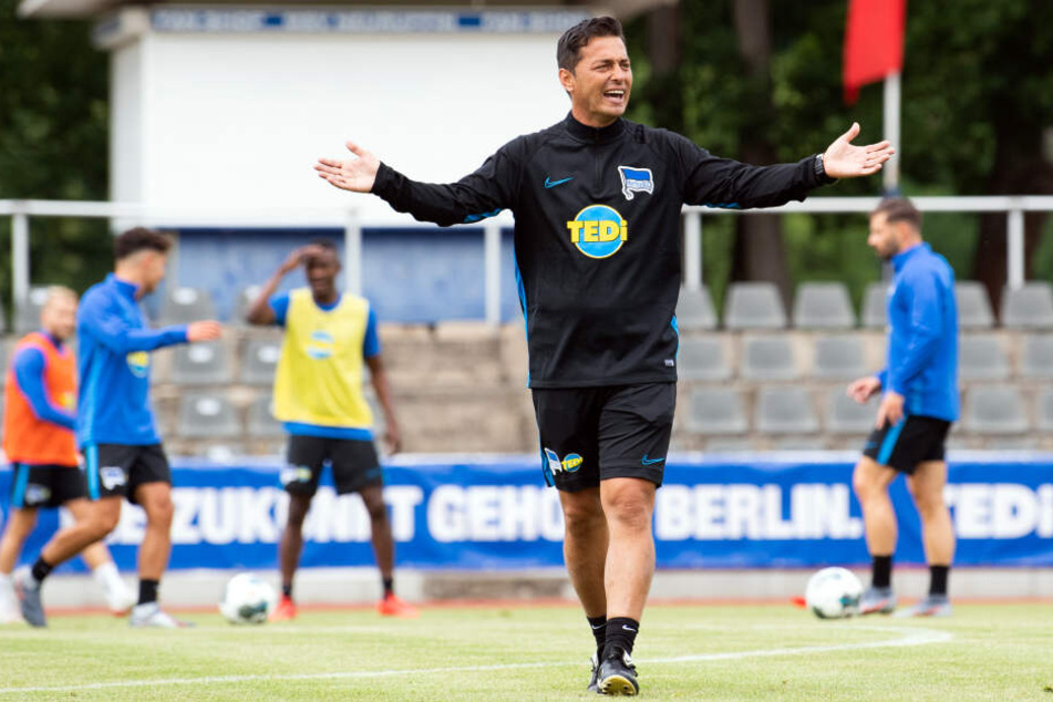 Neuer Taktgeber auf dem Trainingsplatz: Ante Covic besitzt klare Vorstellungen.