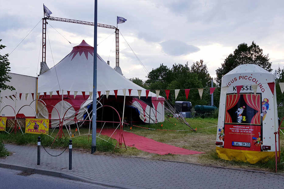 Im Circus Piccolino passierte der schlimme Unfall.