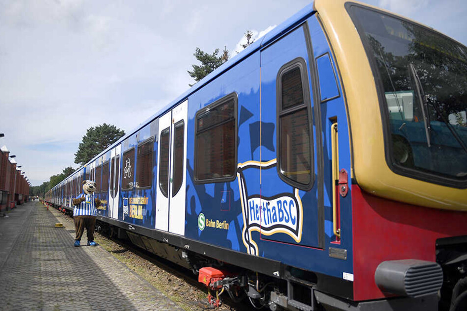 Das Maskottchen Herthinho steht vor dem Sonderzug der S-Bahn und posiert anlässlich des 125-jährigen Bestehen des Vereins.