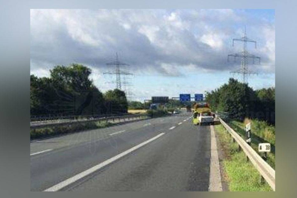 Schneckenschleim kann ganz schön tückisch sein. Ein Trabi rutschte Mitte des Jahres darauf aus!