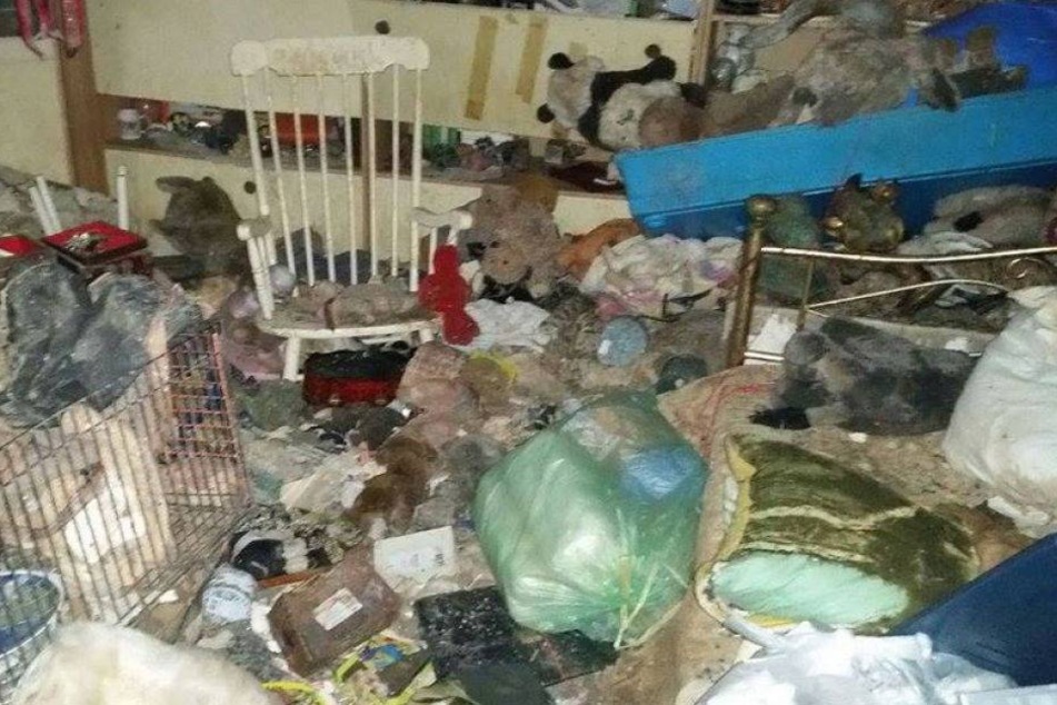 Tote Frau Und Unzahlige Tierleichen In Messie Haus Entdeckt Tag24
