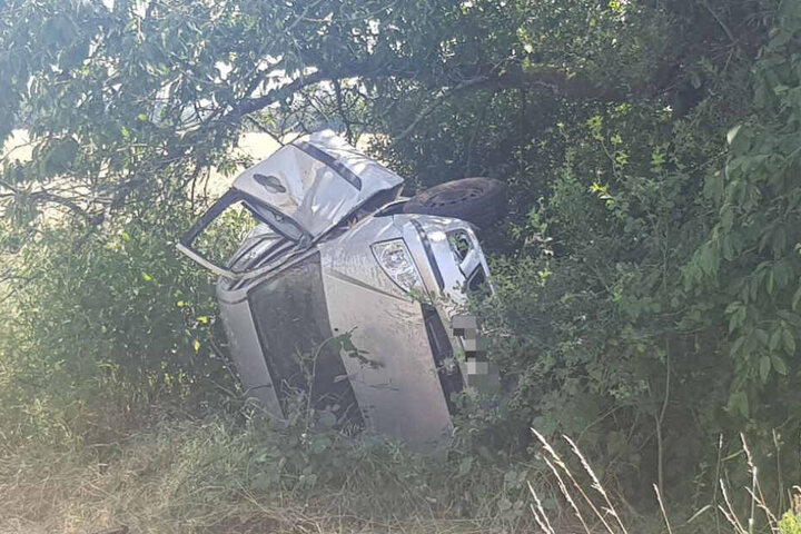 Das Auto kam in einem Gebüsch zum Stehen.