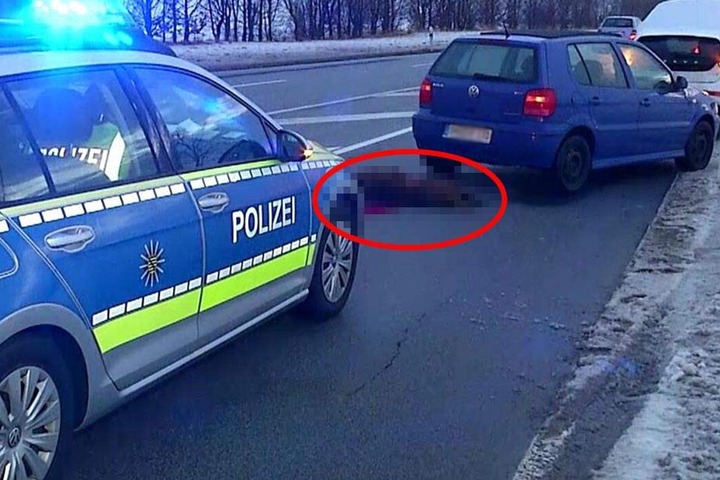 Am Freitagmorgen wurde die Polizei zu einer Wild-Massenkarambolage gerufen.