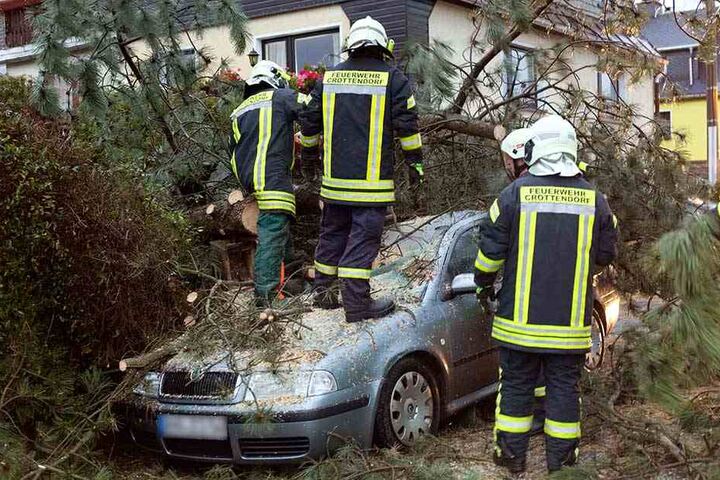 Aufräumarbeiten nach Sturmtief Herwart, der im Oktober vor allem in Nord- und Ostdeutschland wütete.