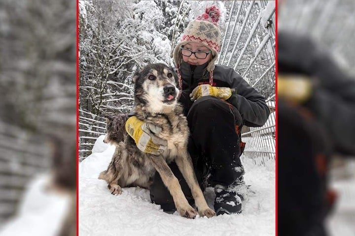 Tamme Müller (18) und Husky Kara (15) sind auch beim Winterzelten dabei.