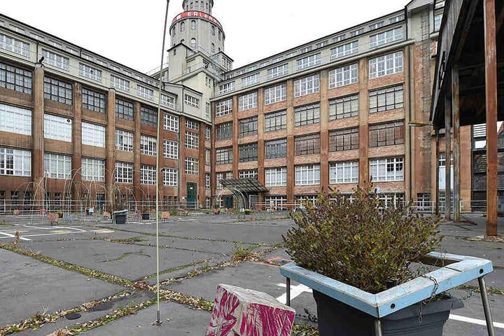 Die Hofkellerdecke in den Technischen Sammlungen ist in einem denkbar schlechten Zustand.