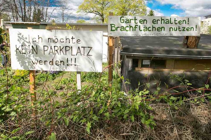 Die Kleingärten an der Pfotenhauerstraße sind mittlerweile weg, sie mussten einem Parkhaus weichen.