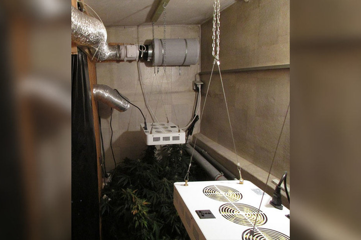 Anstelle von Einbrechern fanden die Beamten eine Marihuana-Plantage.