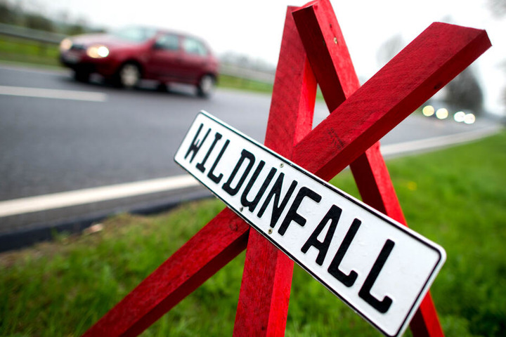 Ein rotes Dreibein mit dem Hinweis auf einen Wildunfall steht am Straßenrand. (Symbolbild)