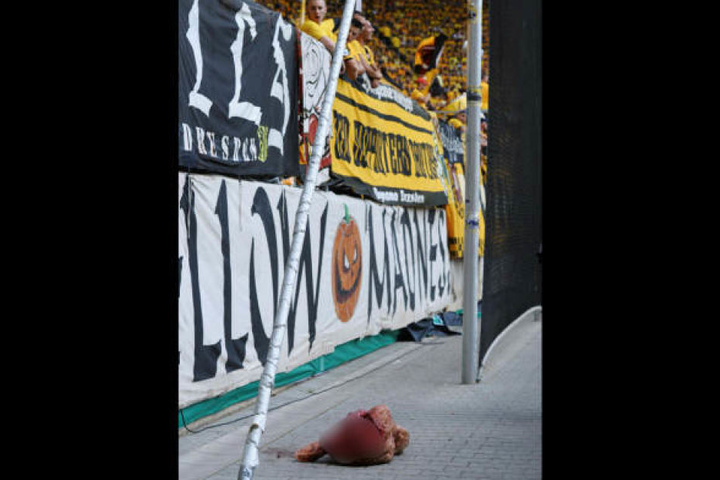 Der DFB-Kontrollausschuss leitete nach dem Bullenkopf-Skandal ein Ermittlungsverfahren gegen Dymano Dresden ein.