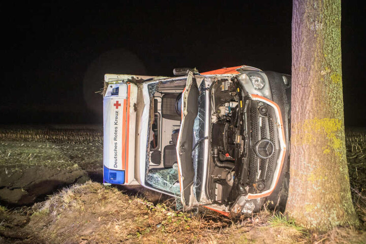 Der Wagen kam erst an einem Baum zum Stehen.