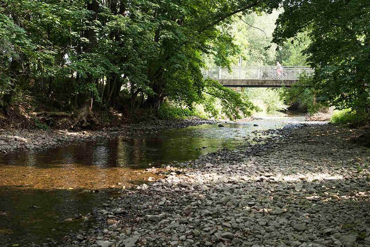 Es führen vor allem Flüsse und Bäche in Nord-, Mittel- und teilweise Ostthüringen wenig Wasser.
