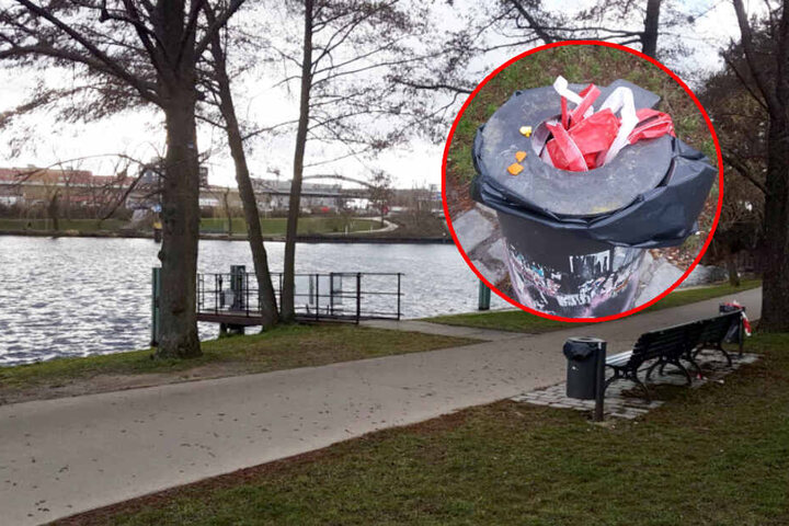 Eine tote Frau wurde aus dem Nordhafen geborgen. (Bildmontage)