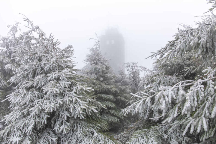 Schnee und Nebel, so sieht der Muttertag im Erzgebirge aus.