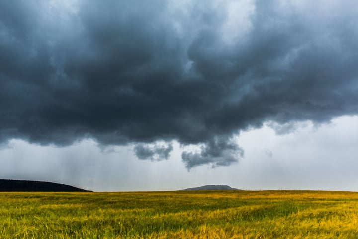 Besonders im Erzgebirge werden Windstärken mit bis zu 75 km/h erwartet.