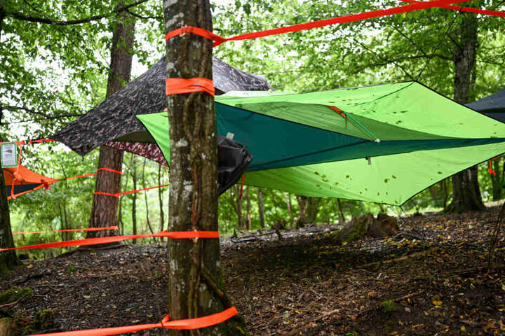 Mehrere Zelte sind zwischen den Bäumen bei der Survival- und Outdoormesse gespannt.