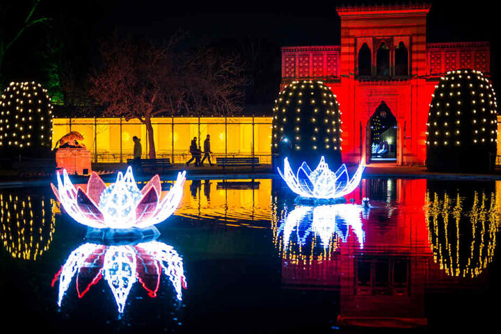 Während die Weihnachtsbeleuchtung (Foto) in der Wilhelma recht sicher sein dürfte, werden LEDs aus der Halloween-Dekoration geklaut.