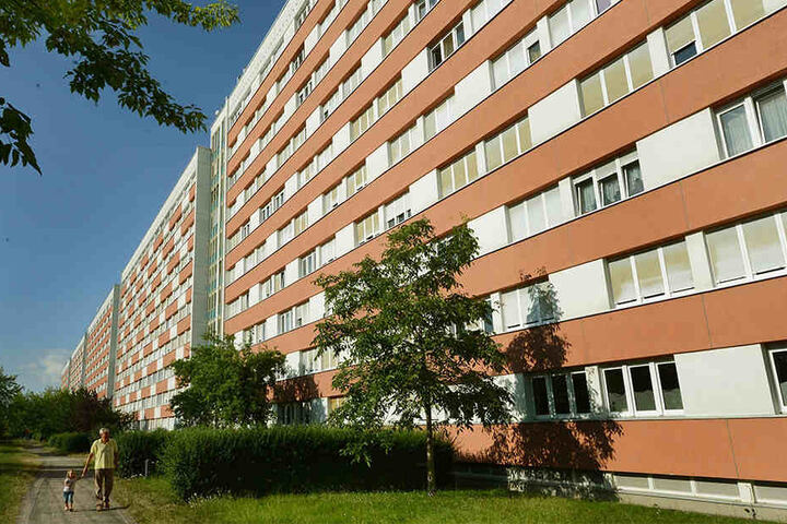 Die "Lange Lene" war der längste sogenannte Mittelgang-Plattenbau der DDR. Heute leben in den 800 Wohnungen viele ältere Menschen.