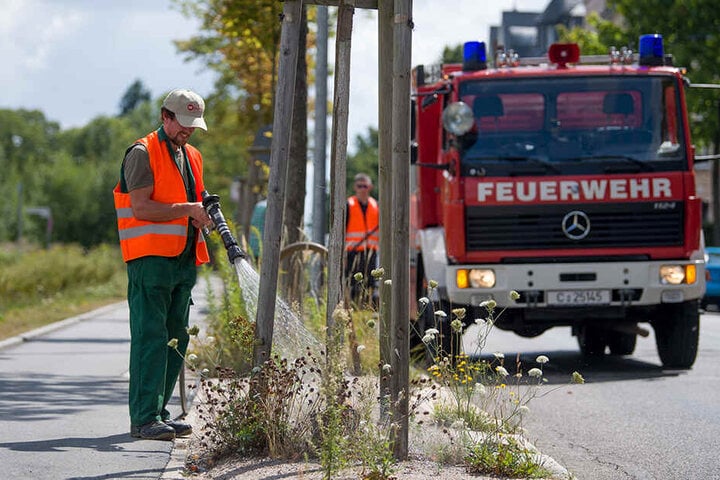 An besonders heißen Tagen versorgt das Grünflächenamt die hiesigen Bäume mit bis zu 21.000 Liter Wasser.